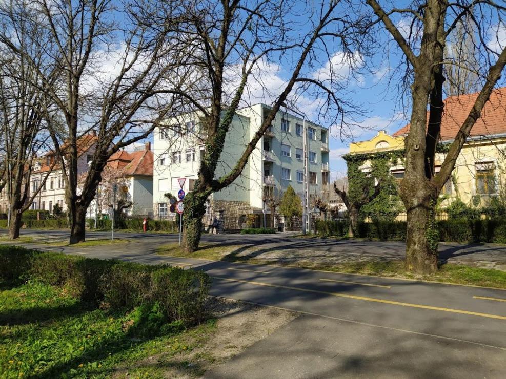 Nelli Apartman Daire Kestel Dış mekan fotoğraf